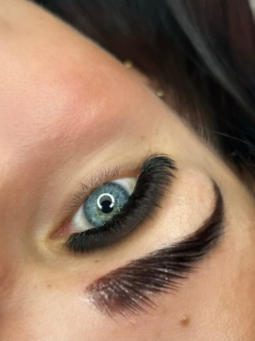 Lunara Silk Lashes-D curl